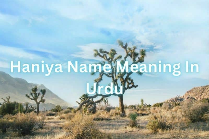 Haniya Name Meaning In Urdu