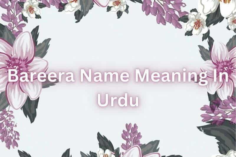 Bareera Name Meaning In Urdu