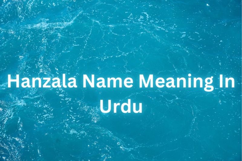 Hanzala Name Meaning In Urdu