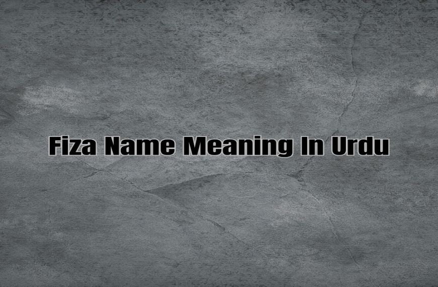 Fiza Name Meaning In Urdu