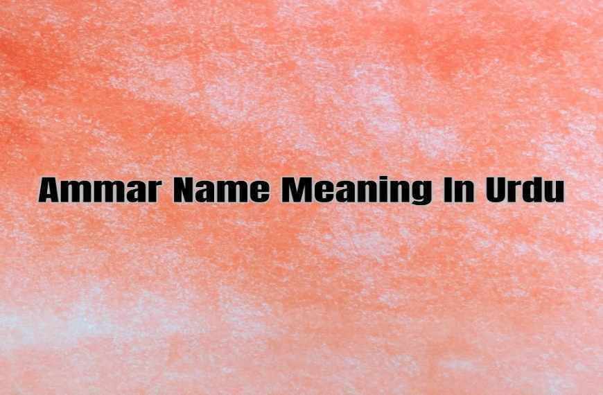 Ammar Name Meaning In Urdu