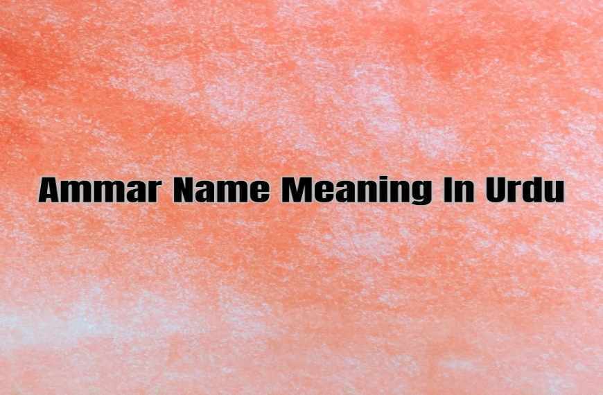 Ammar Name Meaning In Urdu Ammar Naam Ka Matlb Or Tafseelat