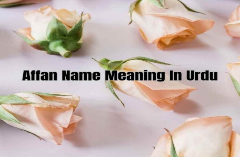 Affan Name Meaning In Urdu