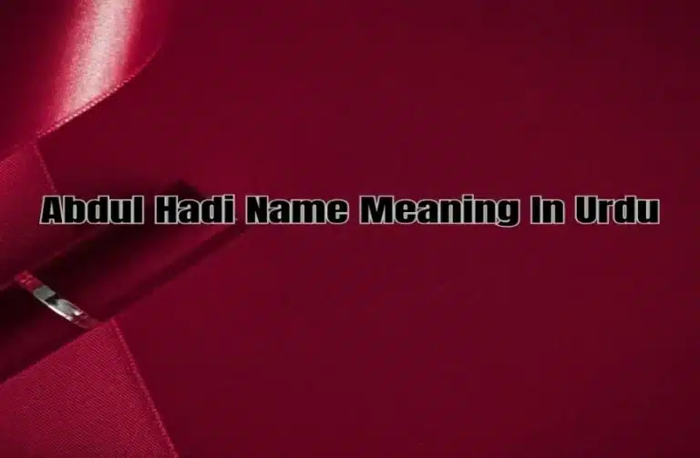 Abdul Hadi Name Meaning In Urdu