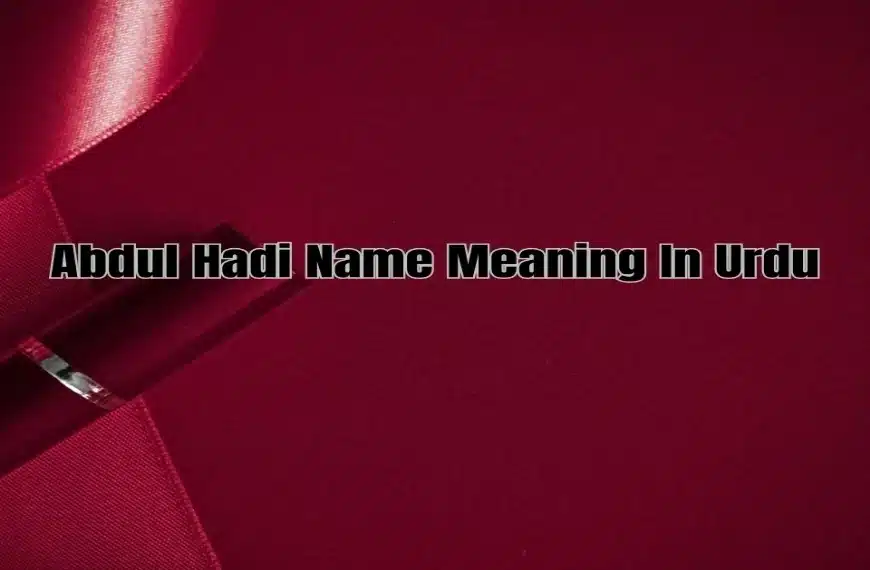 Abdul Hadi Name Meaning In Urdu