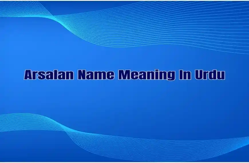 Arsalan Name Meaning In Urdu