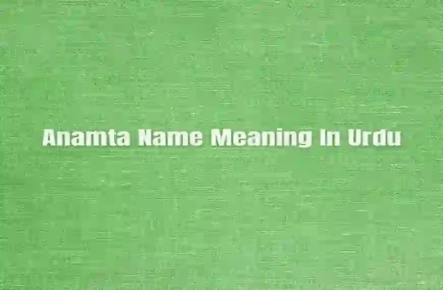 Anamta Name Meaning In Urdu