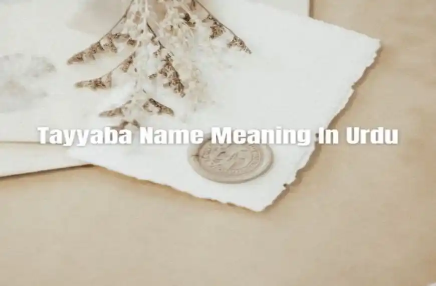 Tayyaba Name Meaning In Urdu