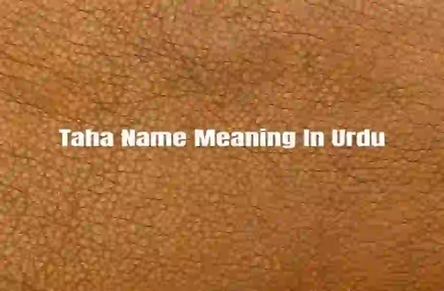 Taha Name Meaning In Urdu