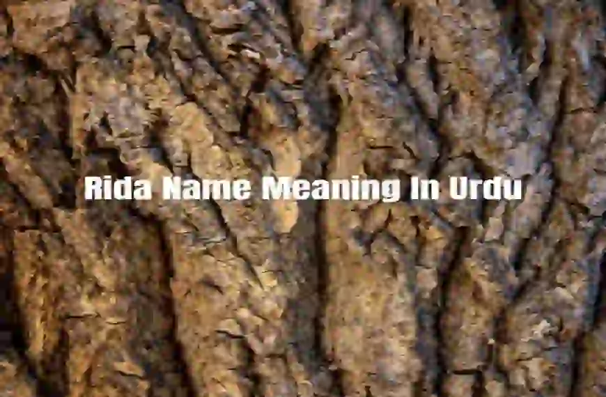 Rida Name Meaning In Urdu