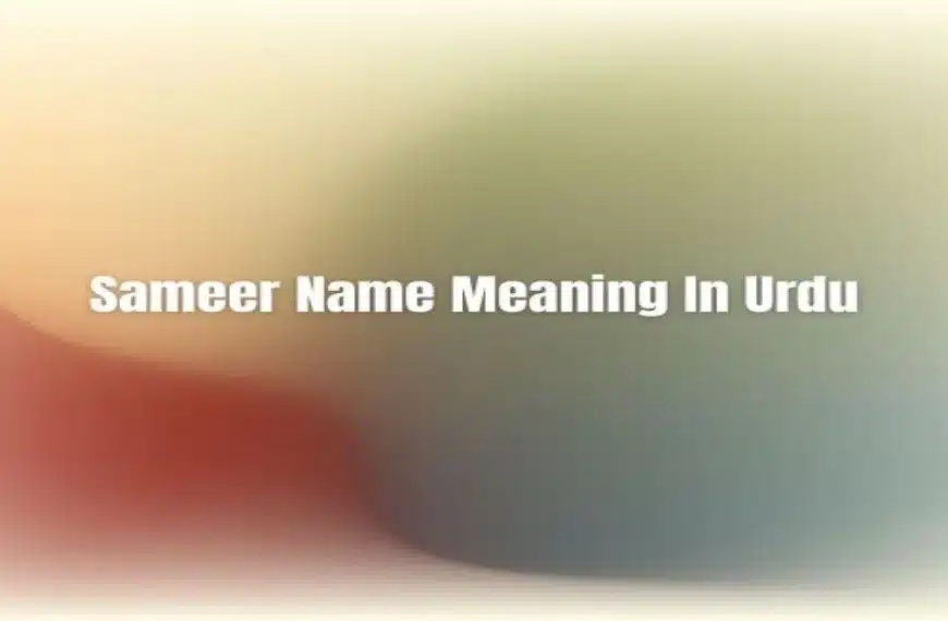 sameer name logo in urdu