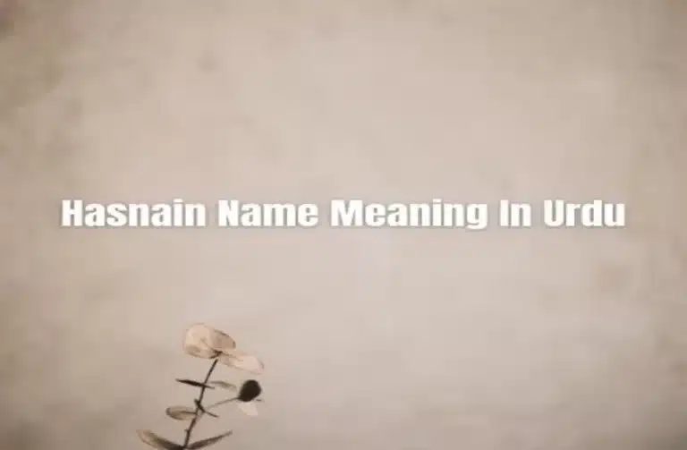 Hasnain Name Meaning In Urdu