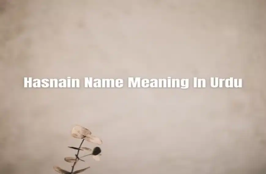 Hasnain Name Meaning In Urdu