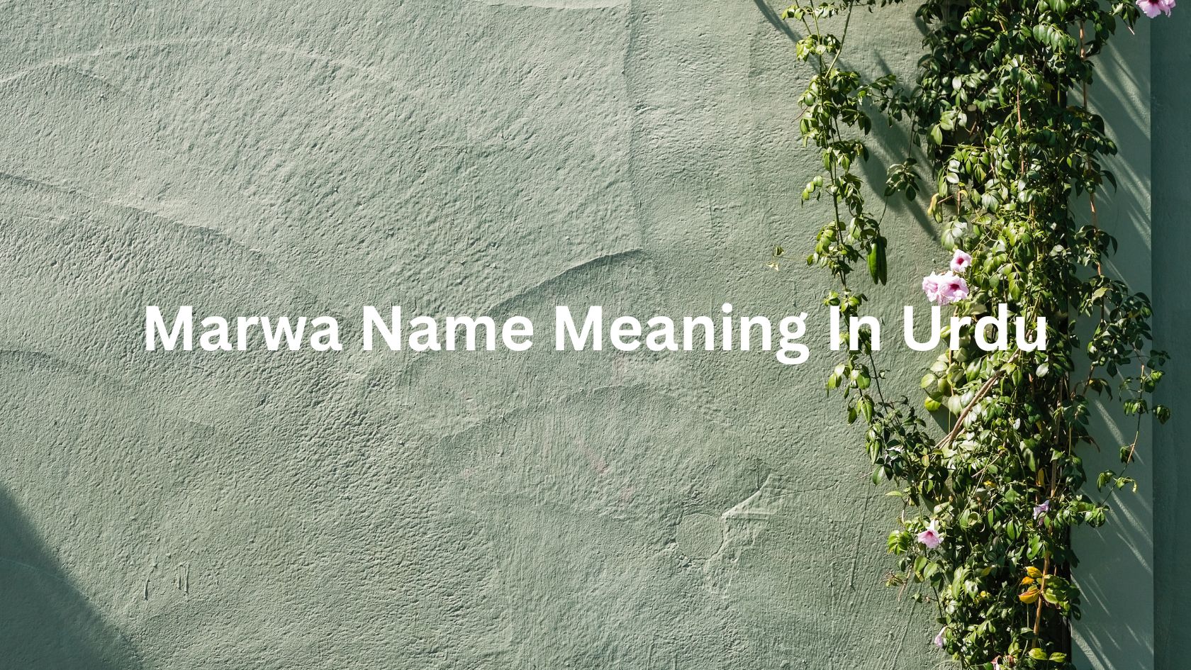 Marwa Name Meaning In Urdu
