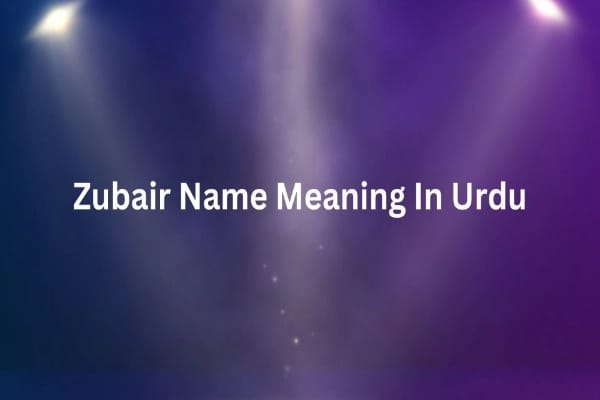 Zubair Name Meaning In Urdu