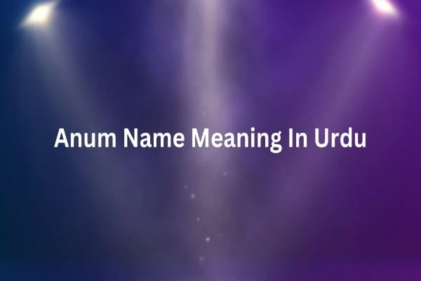 Anum Name Meaning In Urdu