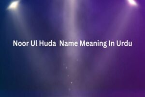 Noor Ul Huda Name Meaning In Urdu
