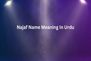 Najaf Name Meaning In Urdu