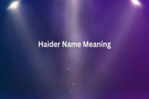 Haider Name Meaning
