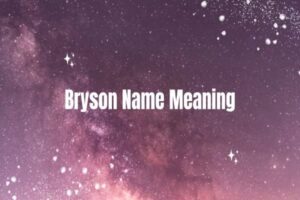 Bryson Name Meaning