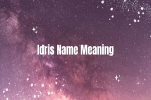 Idris Name Meaning