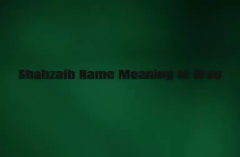 Shahzaib Name Meaning In Urdu