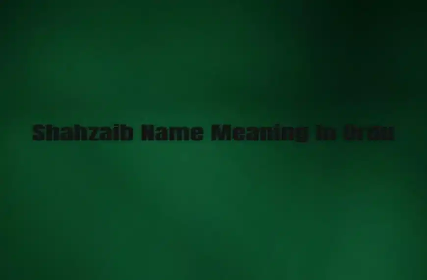 Shahzaib Name Meaning In Urdu