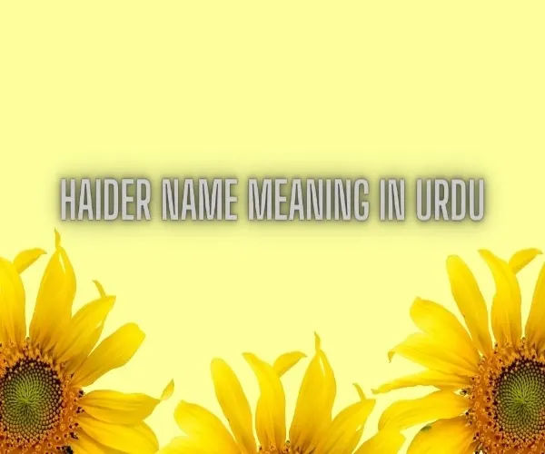 Haider Name Meaning In Urdu - Islam Mentor