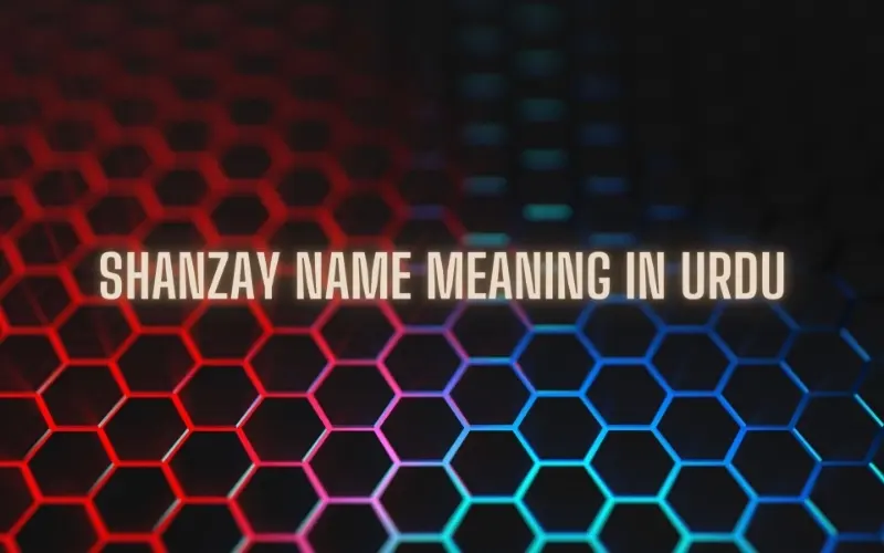 Shanzay Name Meaning In Urdu