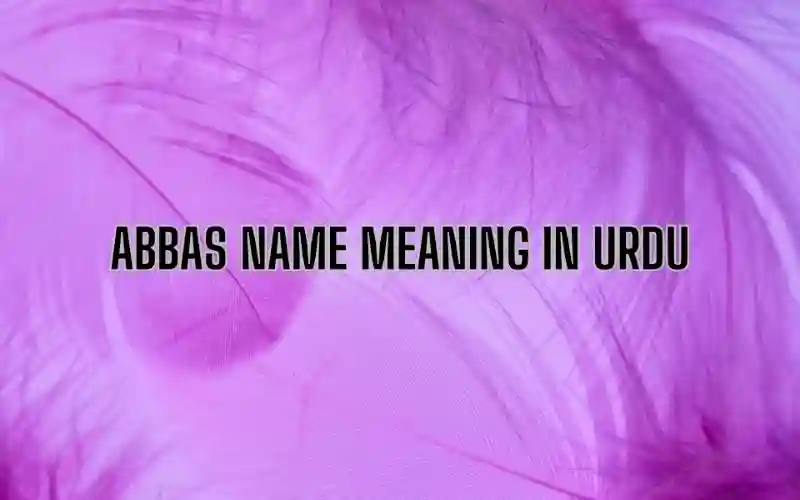 Abbas Name Meaning In Urdu