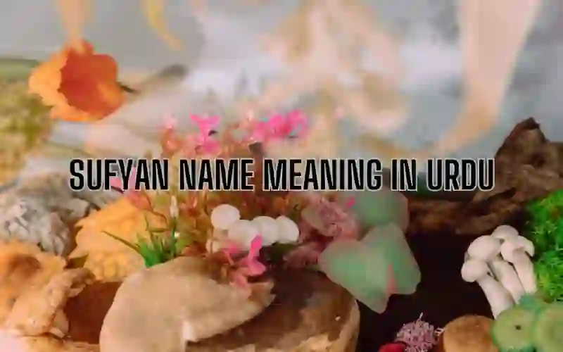 Sufyan Name Meaning In Urdu