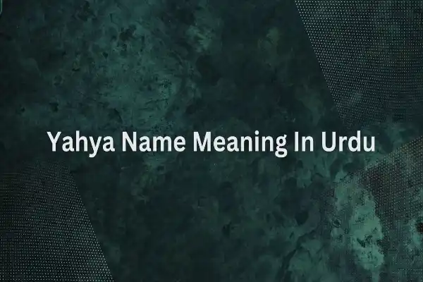 Yahya Name Meaning In Urdu